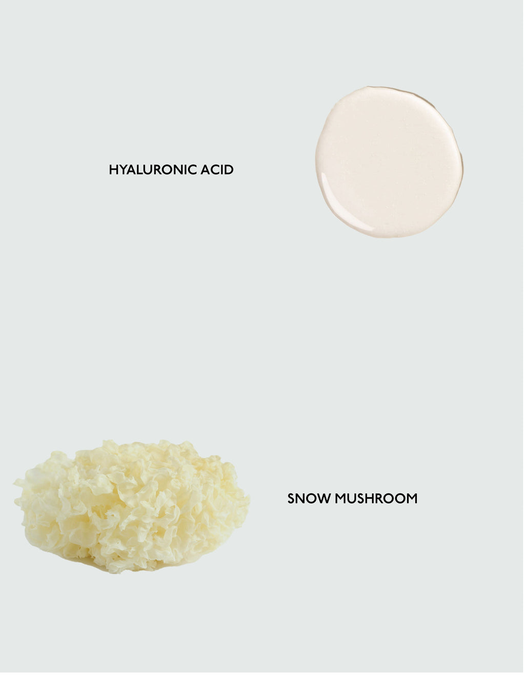 Body Serum